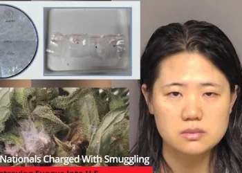 Chinese Nationals Charged With Smuggling Crop Destroying Fungus Into U.S.